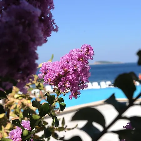 Orphee Hotel 3*
