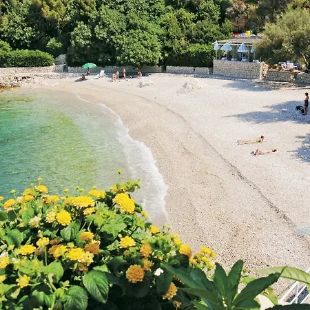 Hotel Orphee Mlini