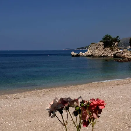 Hotel Orphee Mlini